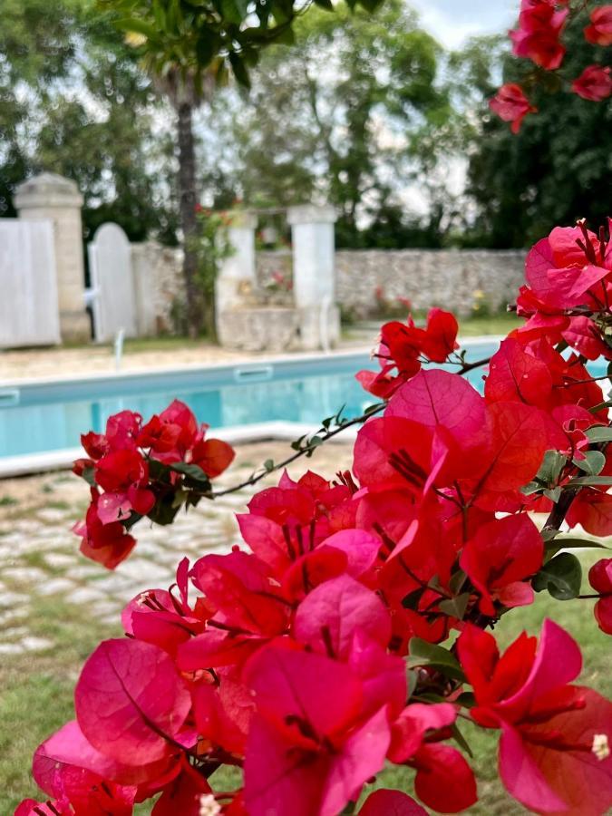 Villa Encantamiento - Dimora Gelsomino - Masseria Storica Nel Cuore Della Puglia Con Piscina Latiano Exterior foto